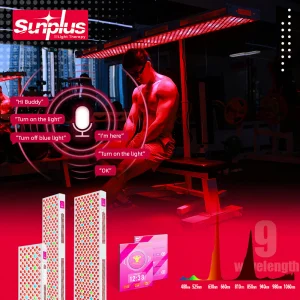 1000W Red Light Therapy