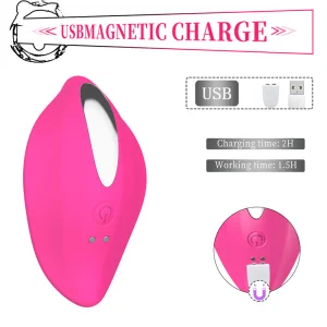Buy Wearable Panty Wireless Remote Control Clitoral Stimulator Vibrator Suppliers, Exporter