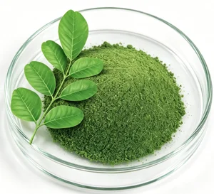 Organic Moringa Leaf Powder Green Organic Certified FCC 25kg/drum