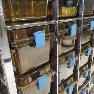 Lab Rodent Animal Bereeding Ivc System Equipment Rat Mouse Breeding Rack with Individual Ventilated Cage