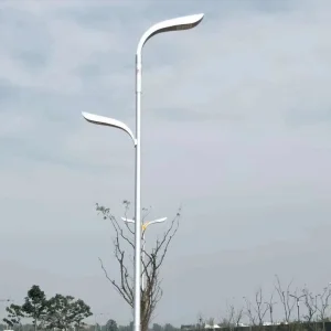 Solar Street Light Government Project