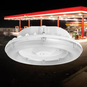 Round LED Canopy Light
