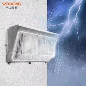 LED Wall Pack Light 100W Factory Direct Price Waterproof IP65 Outdoor Lighting for Garden Warehouse Farm Landscape Industrial