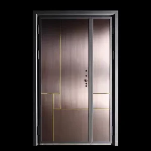 Exterior Steel Door
