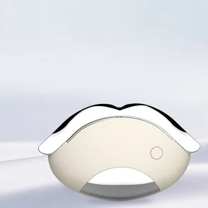 Portable Electric Gua Sha Beauty Massager Handheld LED Face Scraping Mini Tool
