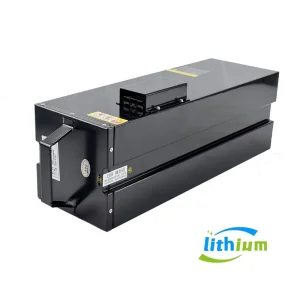 12V 24V 48V 60V 72V Lithium