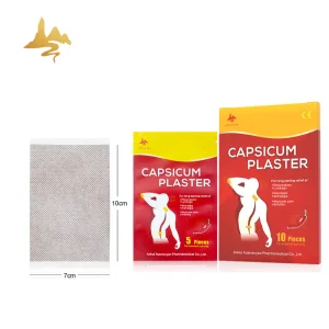 Direct Factory Price Herbal Extract Heat Pain Relief Porous Hot Capsicum Plaster