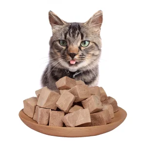 Vitamin-Enriched Hypoallergenic Freeze Dried Food for Healthy Diet