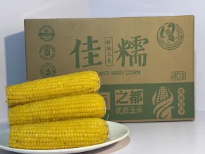 Frozen High Protein Yellow Corn