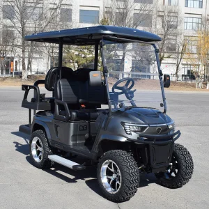 Factory Direct New Energy Four-Wheel Electric Golf Cart