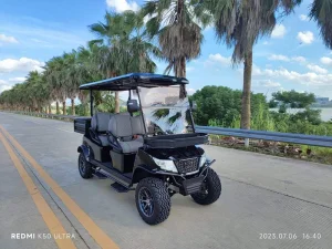 Carrinho de Golfe Elétrico para Uso em Clube de Golfe