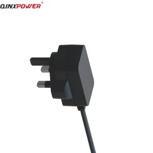 Factory 10W 5V2a Wall Mounted Power Adapter with Safety Standard