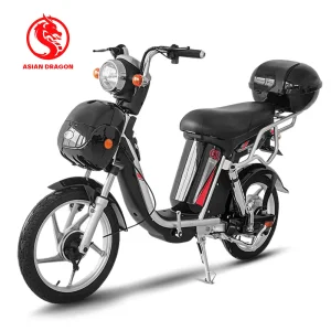 China Vintage-Inspired Urban Electric Scooter