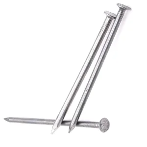 Different Size Common Nail