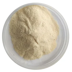 Organic Sunflower Seed Protein 50% Powder with High Quality