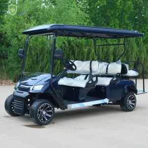 6 Seater Buggy