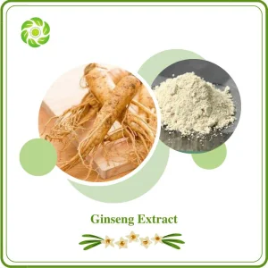 Biotecnologia do Bem-Estar Mundial 5%-80% Ginsenosídeos UV 5%-60%Ginsenosides HPLC Extrato de Panax Ginseng
