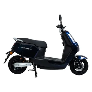 China Two-wheeled Electric Bike Model: H1