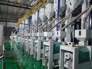 Máquina de Molienda de Arroz Automática 150-2000tpd