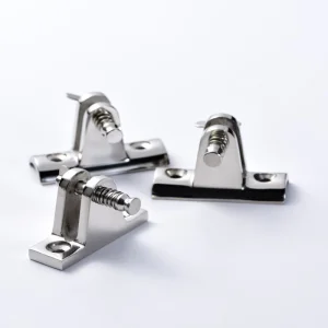 Polished Stainless Steel Hinge