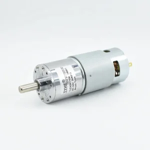TYHE Good Price 42mm RS775 24v High Power Gear Motor
