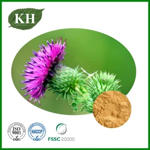 Chinese Herbal Medical Silybum Marianum Extract 80% Silymarin Milk Thistle Extract Powder