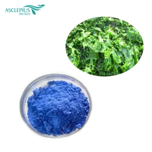 Natural Blue Plant Extract Pigment