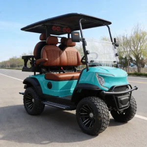 Peças de Carrinho de Golfe Elétrico para Transporte Costeiro