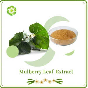 Plant Extract Food Additive Health Food Mulberry Extract Dnj 1% 5% Mulberry Leaf Extract