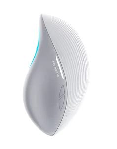 Multi-Function Stainless Steel EMS Facial Device Red Blue Yellow LED Light Heating Vibration 2in1 Eco-Friendly for Skin Care