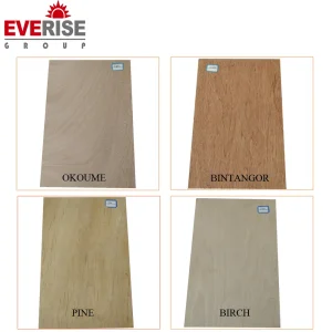 Wholesale Plywood Prices Timber Carbp2/FSC/CE 16/18mm E1/E0 Glue/Laminated Furniture Commercial Plywood with Poplar Core/Okoume/Pine/Birch Face/Back