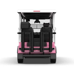 Smart Self-Driving Golf Cart