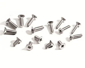 DIN965 Screw