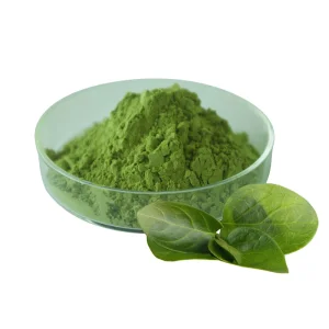 Instant Matcha Powder