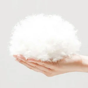 Corduroy Kennel Featured High-End Pet Dog Puppies