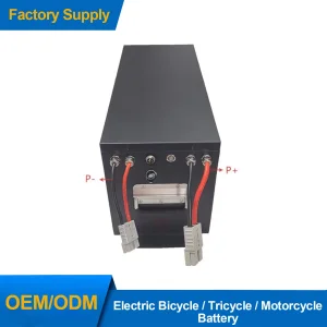 Durable 36V 48V Battery Pack for High-Performance E-Bicycle Usage