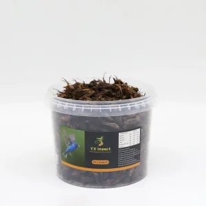 High Nutrition Dried Crickets