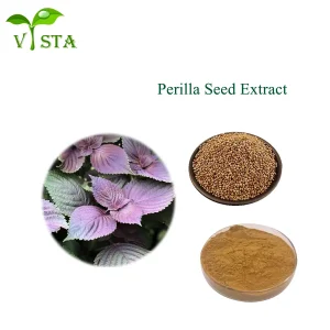 100% Natural Plant Extract Food Grade Perilla Seed Powder Purple Perilla Seed Extract
