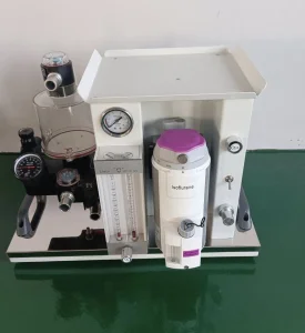 Minor Surgical Anesthesia