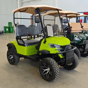 Chinese Road Utility Vehicle Street Legal Electric Golf Cart