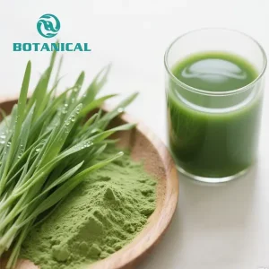 High-Quality Organic Wheatgrass Juice Powder Bulk