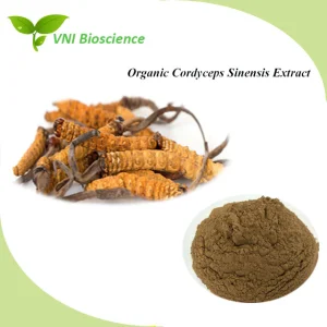 Halal Kosher Certified 100% Natural Organic Cordyceps Extract