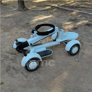 Folding 2000W 48V Electric Golf Skateboard