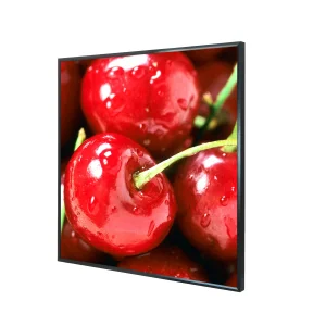 Factory 19.2 Inch Backlight 4K Ultra-Thin Digital Art LCD Display Canvas Frame for Nft Art Exhibition