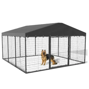 Canil de Cão Galvanizado