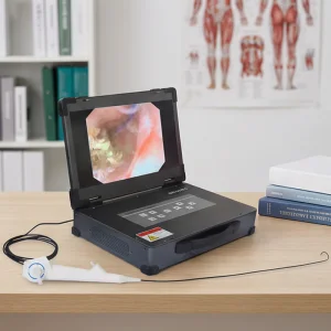 Medical Portable Video Endoscope Disposable Flexible Endoscope for Ent/Urology/Hysteroscopy/Cystoscope