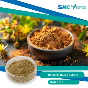Extrato de Rhodiola Rosea HPLC Premium com 5% Rosavinas