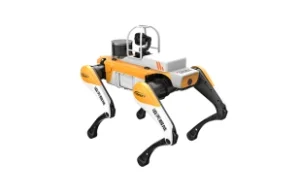 Electricity Inspection Dog