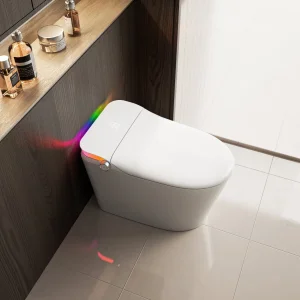 Luxury Smart Toilet Istanbul