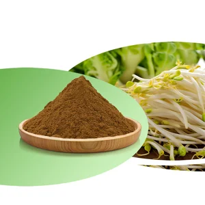 Organic Mung Bean Sprout Extract Powder